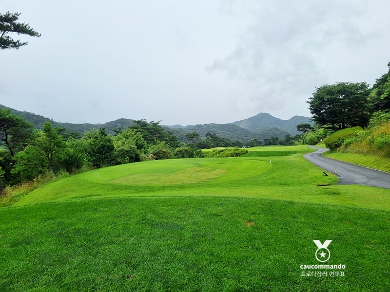 연예인 골프 순위 연예인들이 참여하는 13