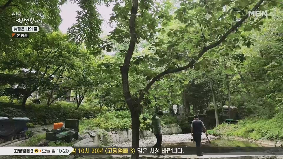 나는 자연인이다.E561.230705p.H264-F1RST.mp4_20230706_213033.645.jpg
