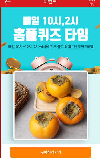  [앱테크]홈플러스퀴즈10월22일오후2시문제의 정답,홈플단감