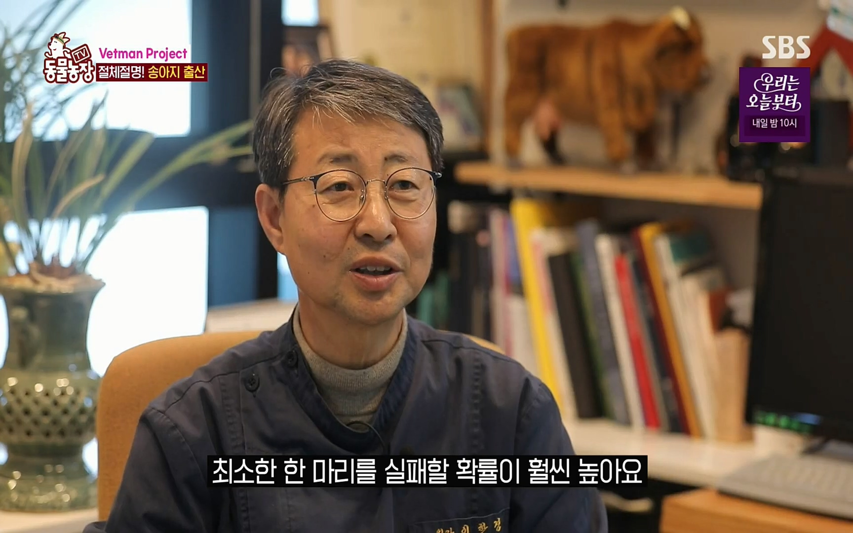 TV 동물농장.E1069.220515p.H264-F1RST.mp4_20220515_180119.553.jpg