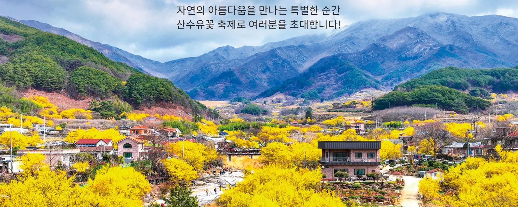 구례_산수유축제_전경