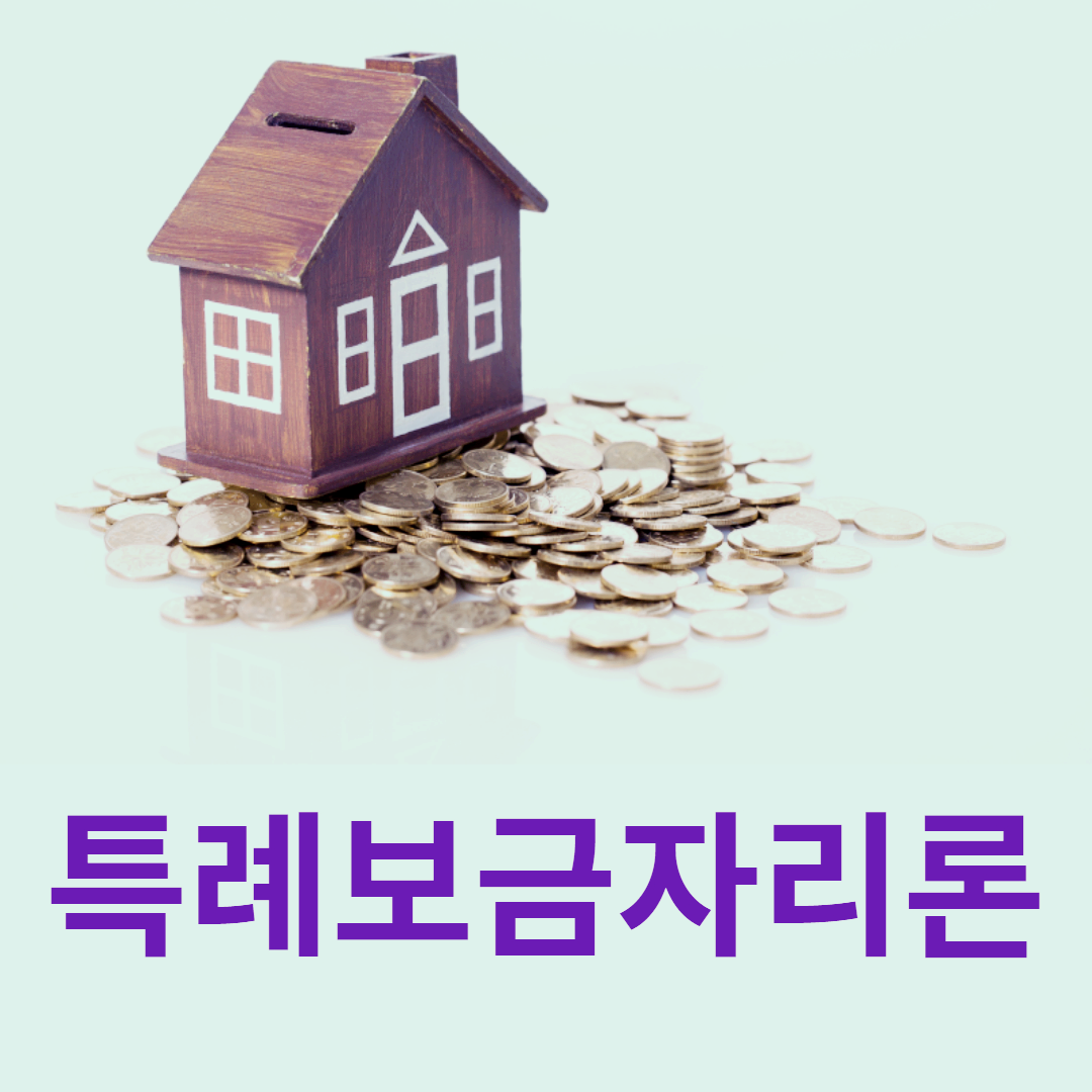  특례보금자리론 대출완화,한도확대