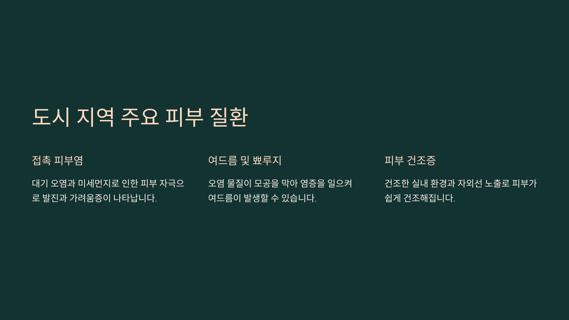 도시 지역 주요 피부 질환