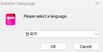 한국어 버전