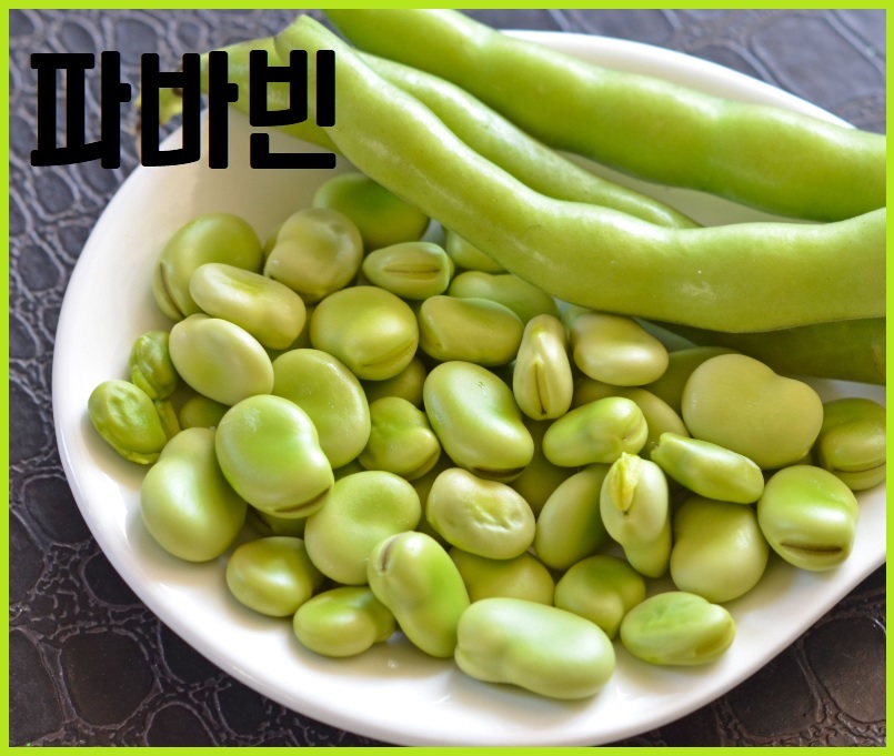 빈 이미지