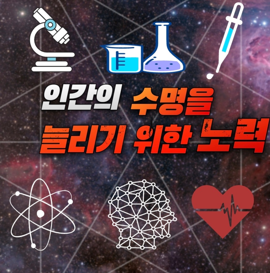  인간이 영원히 사는 것 과연 가능할까? feat. 진시황 불로초