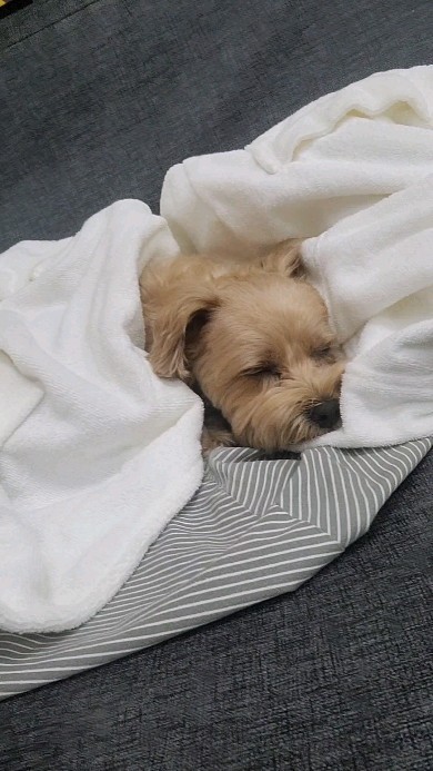 김해준_인스타그램_이미지
