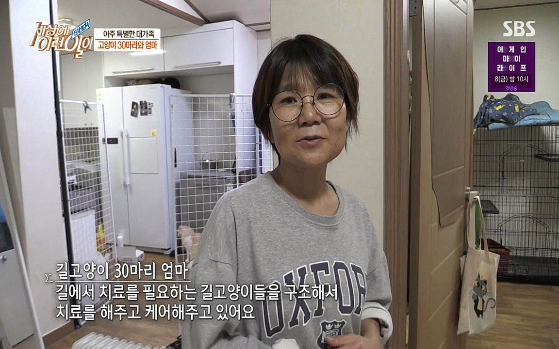 순간포착 세상에 이런일이.E1173.220330p-NEXT.mp4_20220330_174759.686.jpg