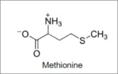 메틸오닌