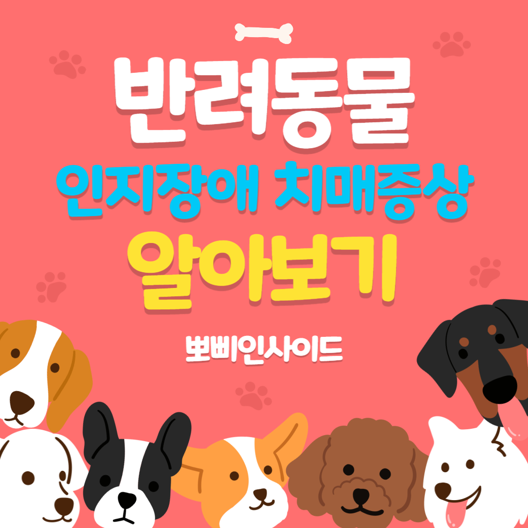  강아지 인지장애 노령견 치매 증상등에 대하여