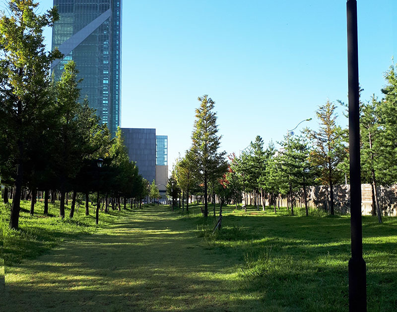 수지 아르피아파크골프장 (죽전파크골프장) 경기도 용인시 수지구 포은대로 523