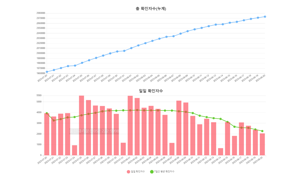 부산코리나확진자