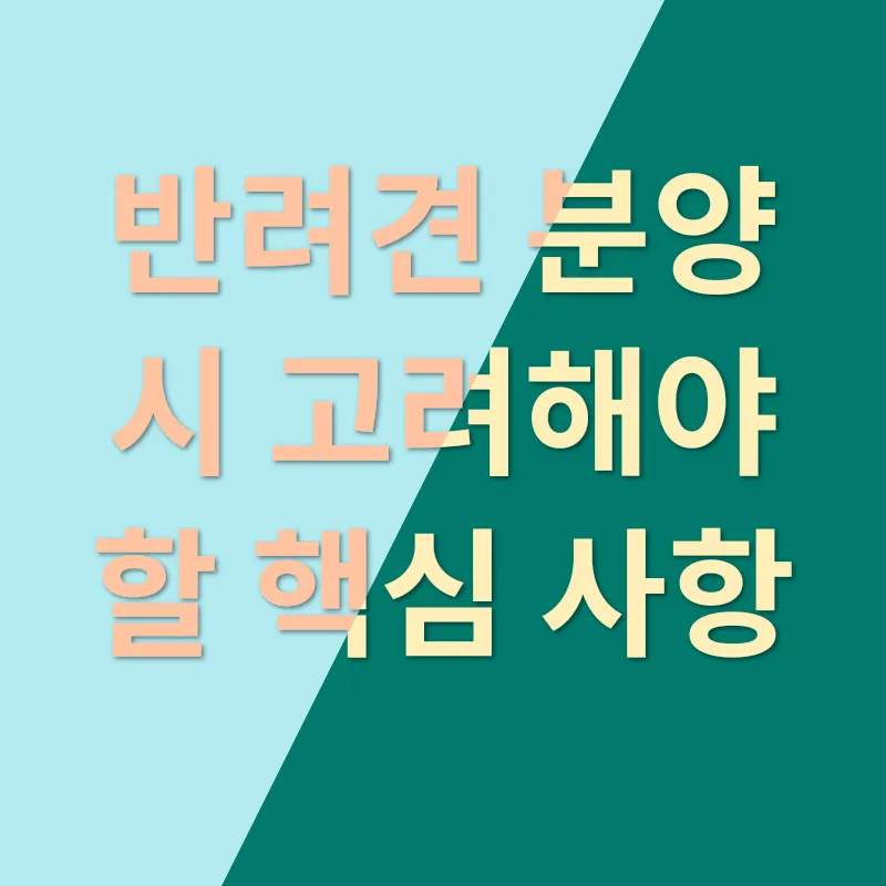반려견 분양_1