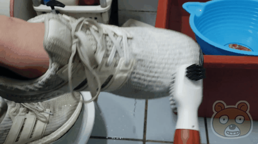 Electric Shoes Brush