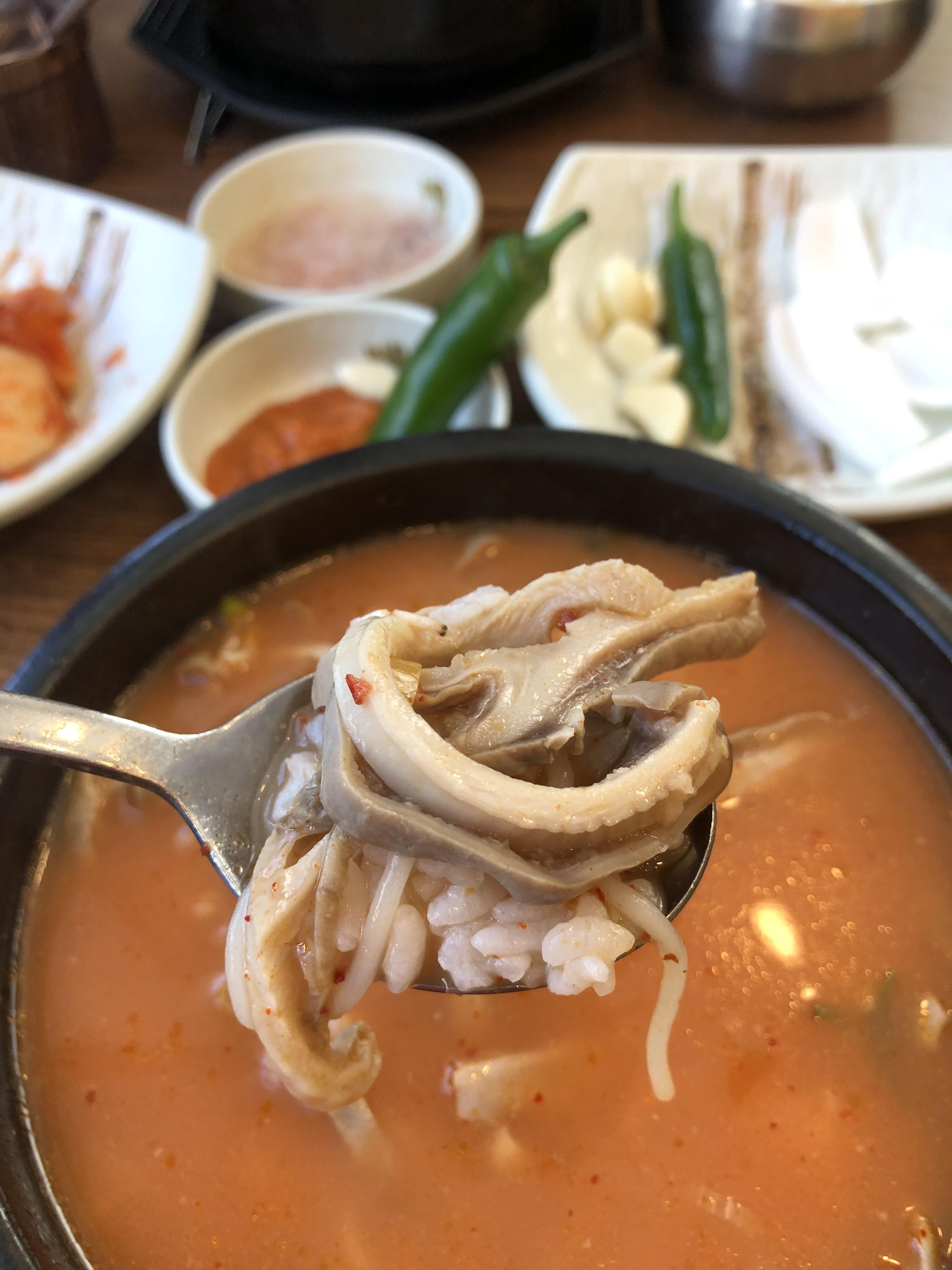 모들국밥 사진 2