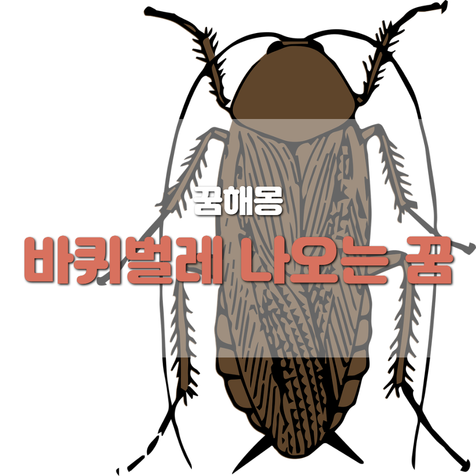  <꿈해몽> 바퀴벌레 나오는 꿈, 바퀴벌레 꿈, 바퀴벌레 관련 꿈해몽