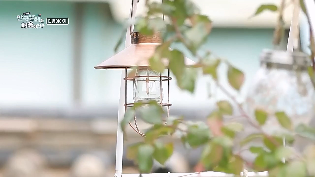 어서와 한국살이는 처음이지.E05.230118p-NEXT.mp4_20230118_204307.752.jpg