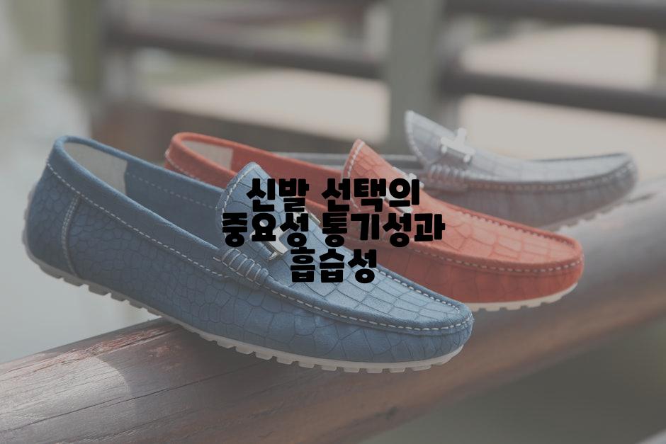 신발 선택의 중요성 통기성과 흡습성