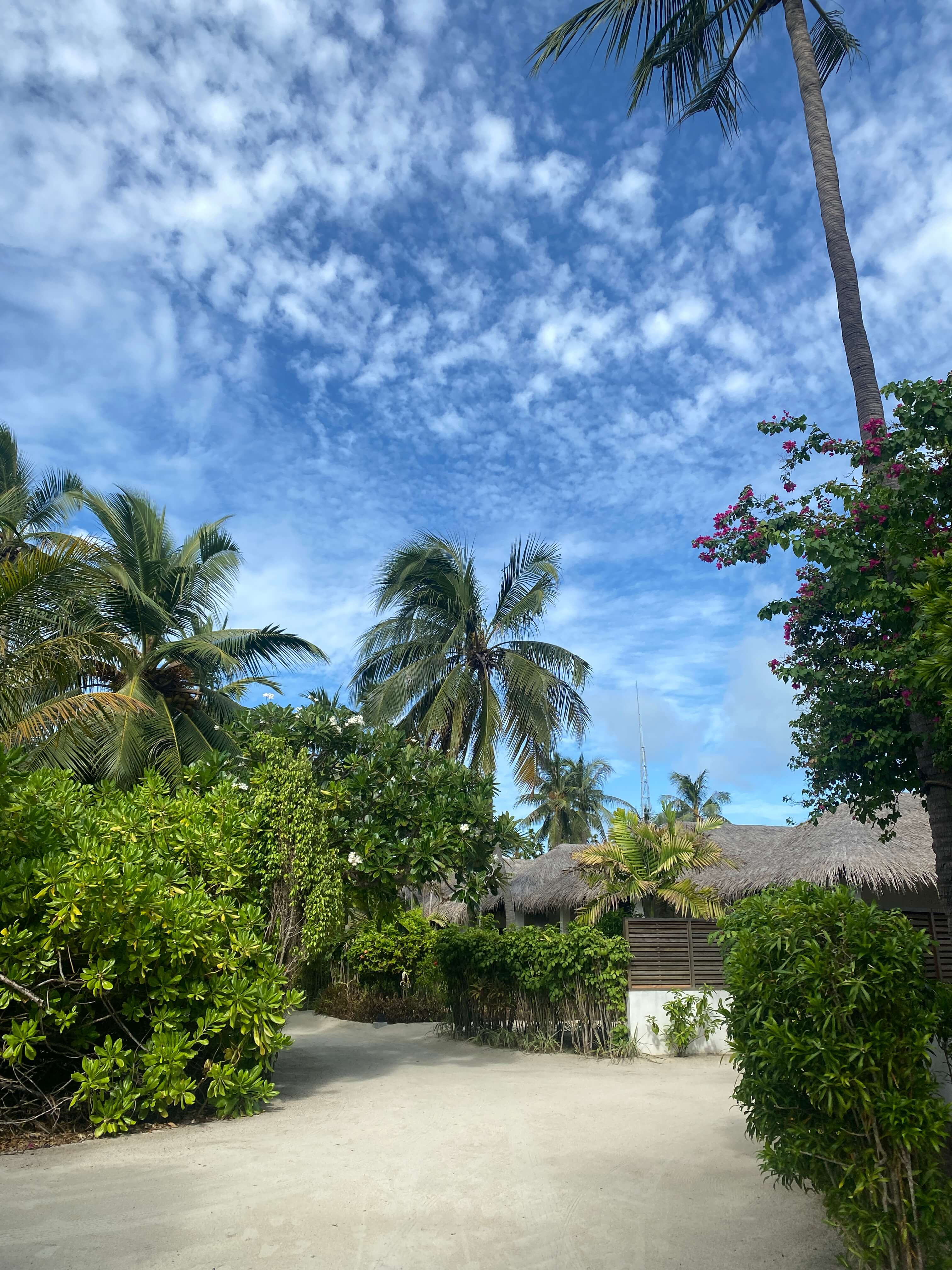 맑게 개인 하늘과 벨라사루 몰디브 리조트의 정원