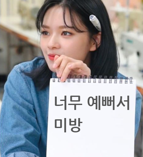  데뷔하고 실물 털린 인스타 여신. jpg