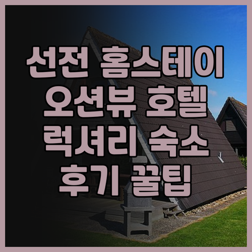 선전 홈스테이 추천.. 미위 셴젠 블