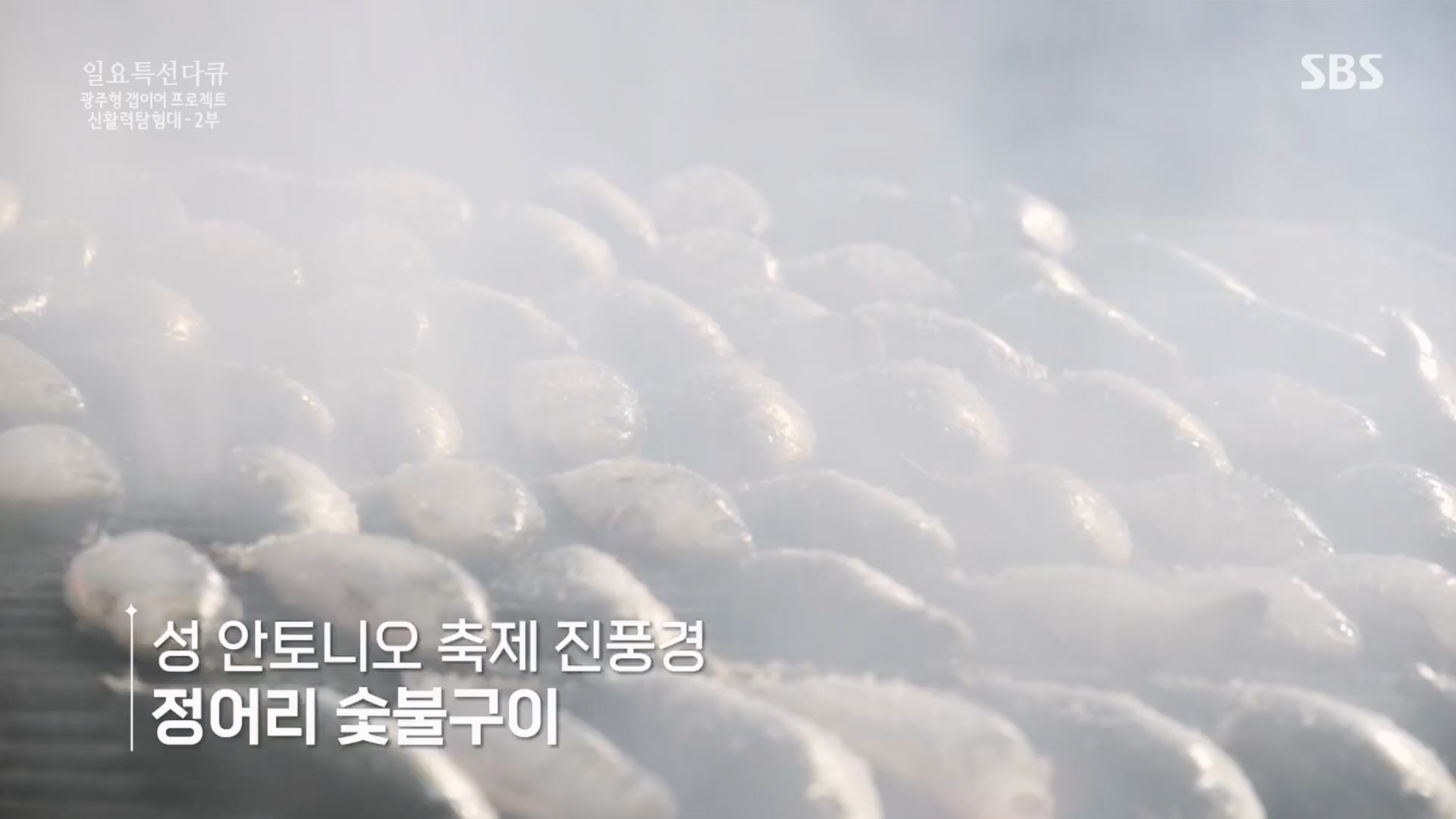 일요 특선 다큐멘터리.E326.231029p.H264-F1RST.mp4_20231029_160639.177.jpg