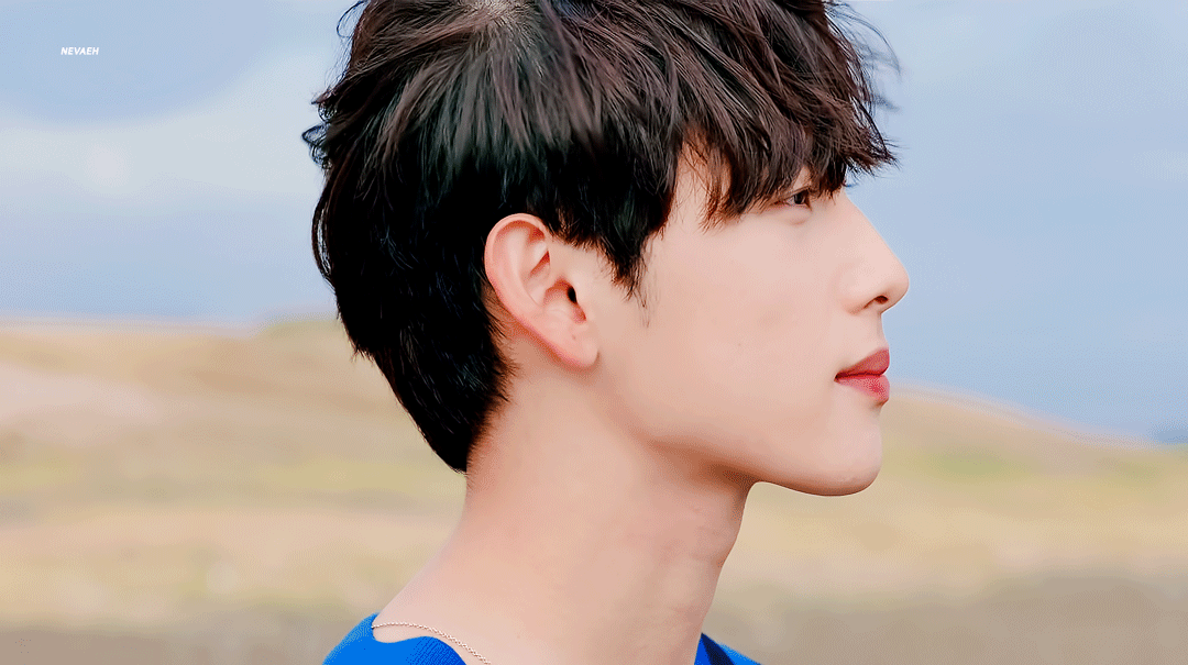 img.gif