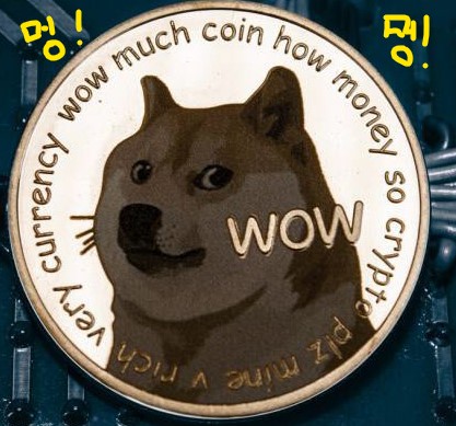  도지코인 전망. 과연 누가 알리오.