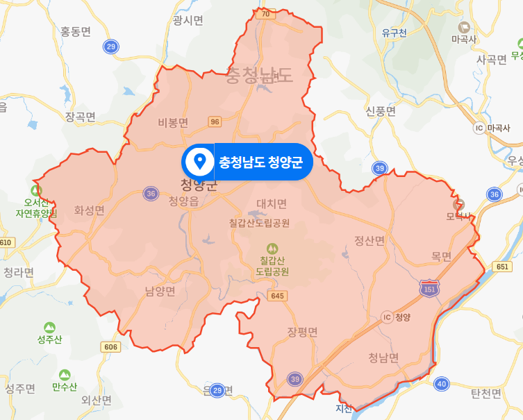  충남 청양군 지천 생태공원 하천 모녀 시신사건 (2021년 1월 31일)