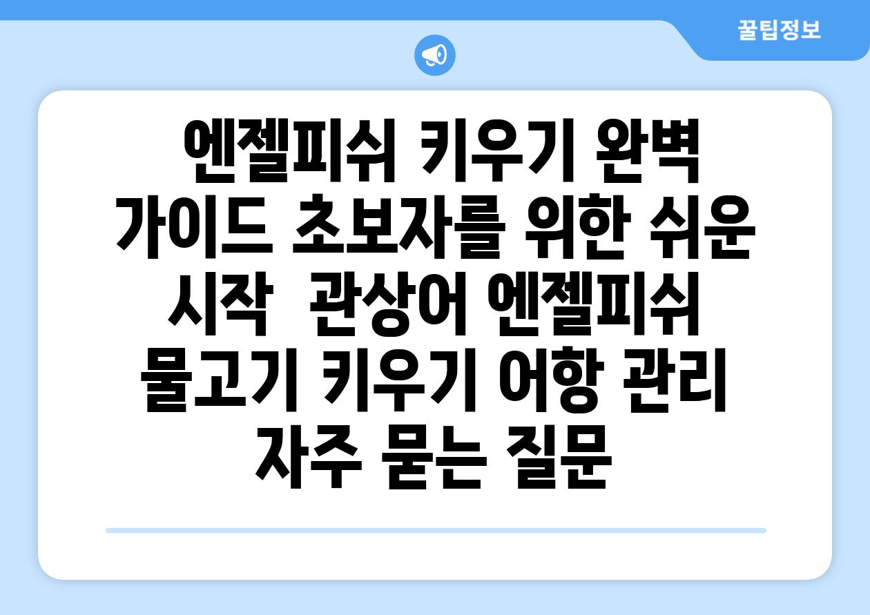 ## 엔젤피쉬 키우기 완벽 가이드| 초보자를 위한 쉬운 시작 | 관상어, 엔젤피쉬, 물고기 키우기, 어항 관리