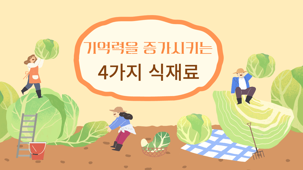  나이가 들어 기억력이 감소할 때 기억력을 높여주는 식재료 4가지!! 함께 알아봅시다!!