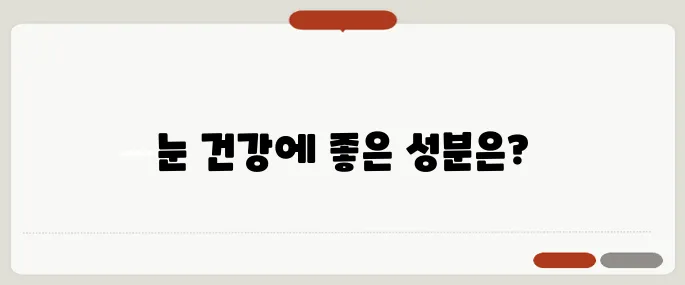 빌베리 효능 눈 건강 도움