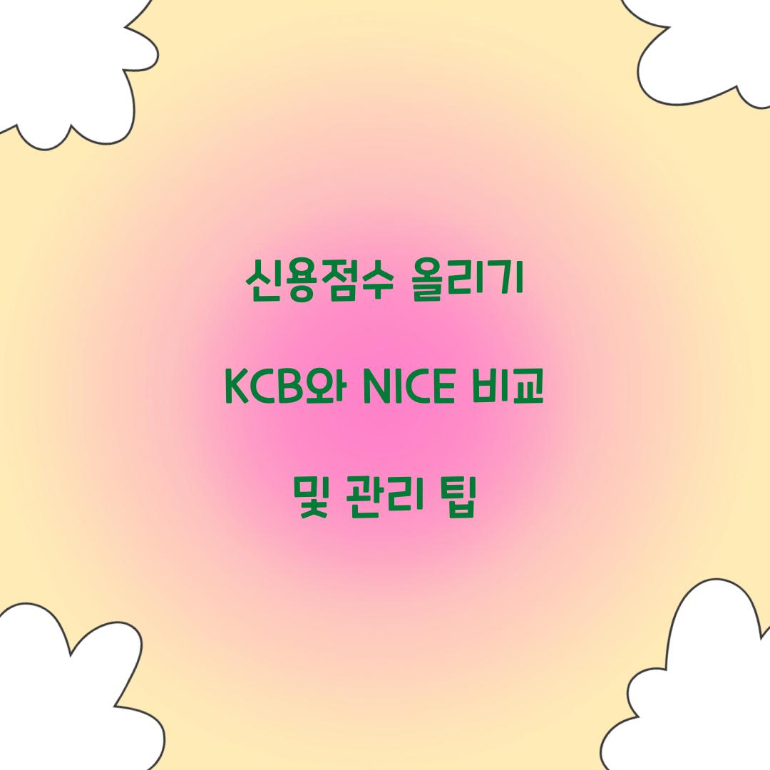 신용점수 올리기