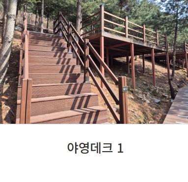 신암저수지 숲속야영장 예약 꿀팁 공개! 숲나들e로 빠르게 캠핑 성공하는 법