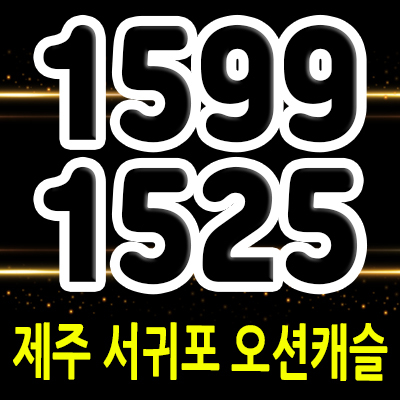  제주 서귀포 오션캐슬 후분양 아파트 바로 입주 가능한 세컨하우스 분양가 및 홍보관 위치 안내