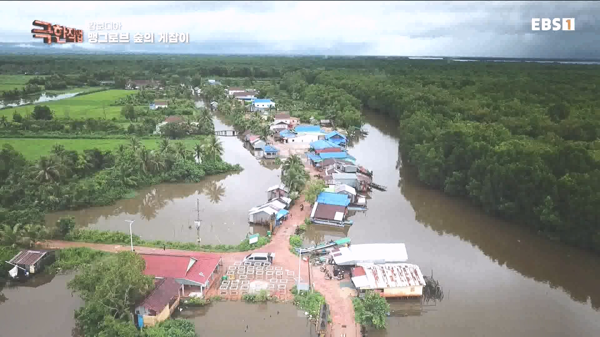 물뱀 사냥과 맹르로브숲의 게잡이 231021.mp4_20231025_211954.512.jpg