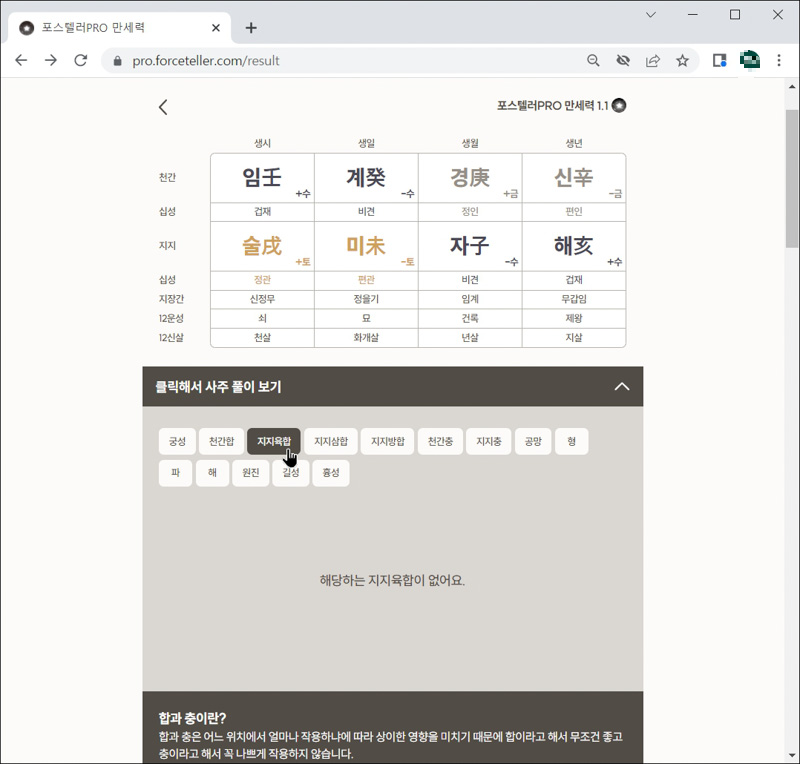 포스텔러-프로-만세력-사주-풀어보기-지지육합 