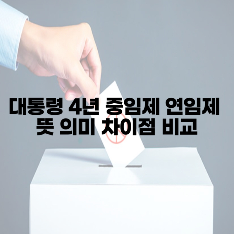 대통령 4년 중임제 연임제 뜻 의미 차이점 비교