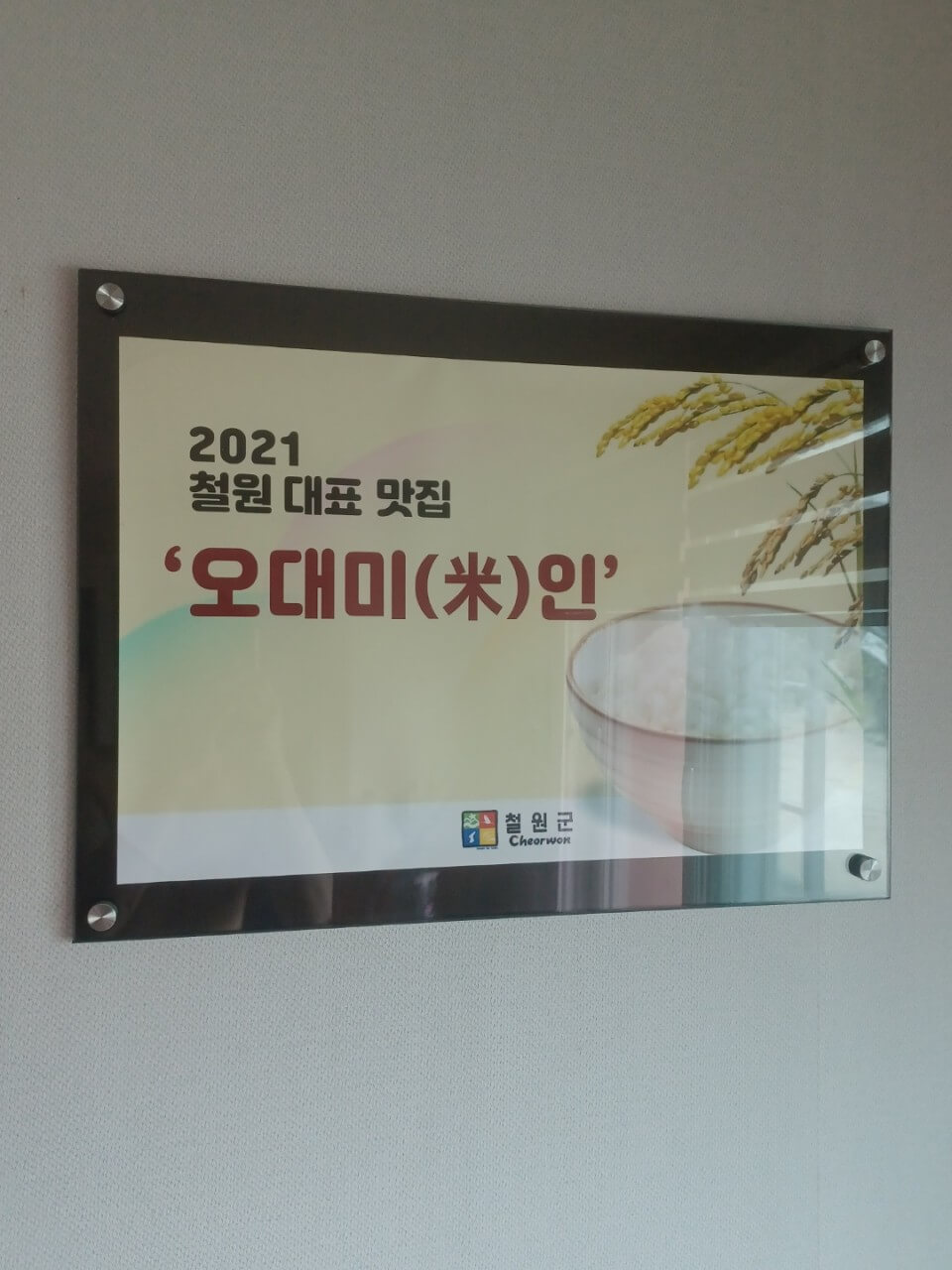 오늘N 2516회 위대한 일터 강원 철원 연잎 밥상 맛집 철원평야가든