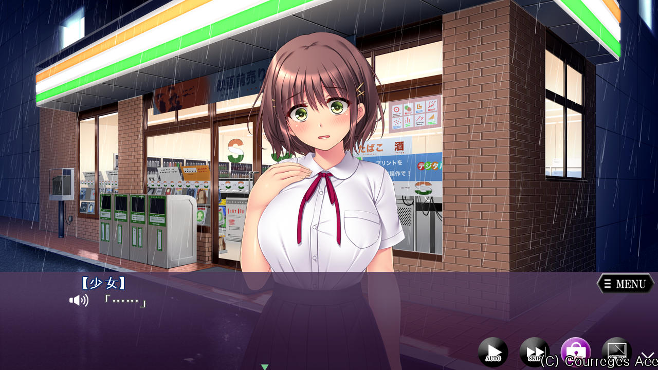  Gal Game / ギャルゲー - 가출소녀 교배간유 (家出娘種付け姦誘)
