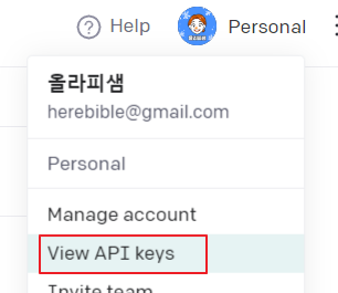 API key 복사하기