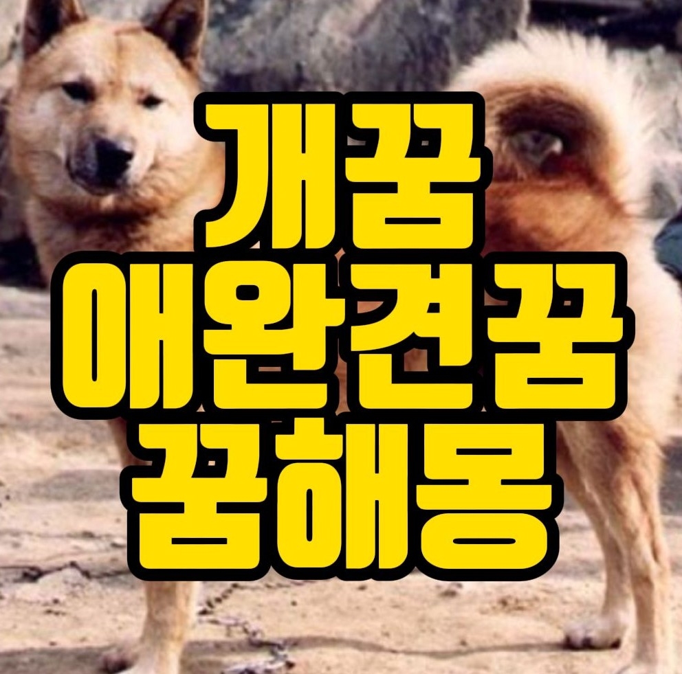  [꿈해몽] 강아지꿈,애완견꿈,진도개꿈,개꿈 관련 꿈풀이 50선