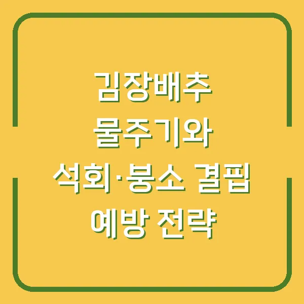 김장배추 물주기와 석회·붕소 결핍 예방 전략