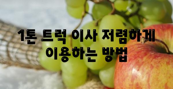 1톤 트럭 이사 저렴하게 이용하는 방법