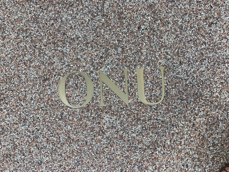 오누(ONU) 이미지