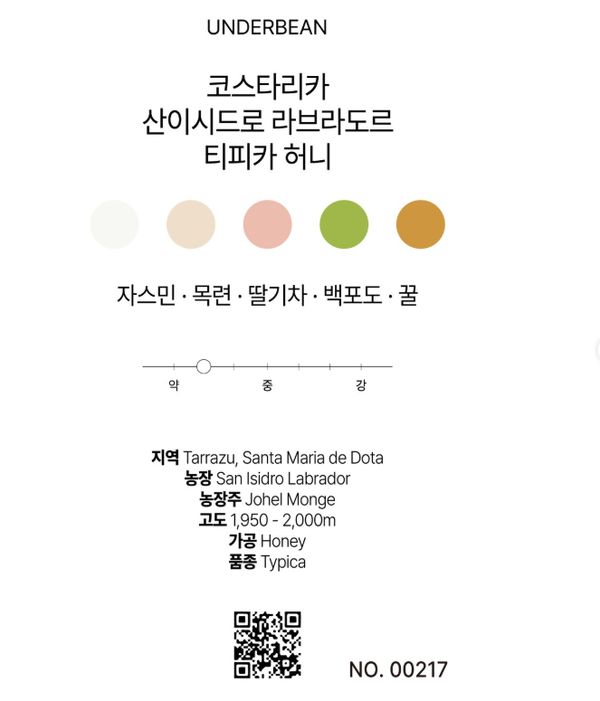 언더빈 이미지