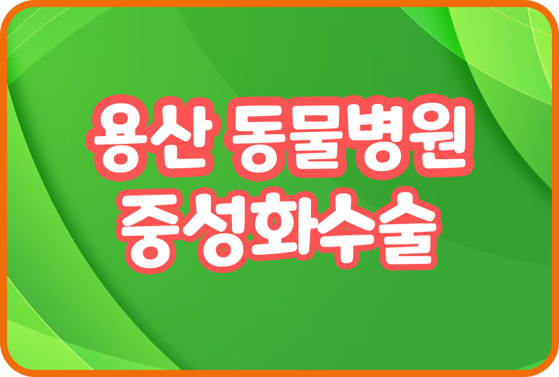  용산 동물병원 추천 반려견 예방접종 슬개골 고관절 강아지호텔 애견특식