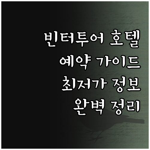 빈터투어 호텔 예약 가이드 완벽 정리