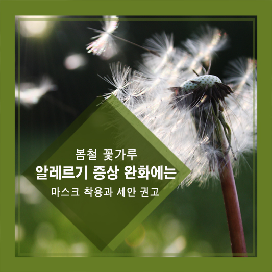 봄철 꽃가루 알레르기 증상 완화에는 마스크 착용과 세안 권고