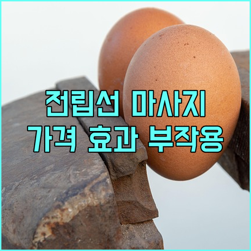 전립선 마사지 가격 효과 부작용 총정